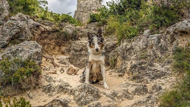 Tsingy A La Cite De Pierres 013laetitia Raisin Robert