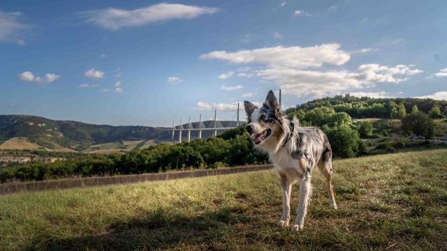 Viaduct behendigheidsparcours053alexhumbert