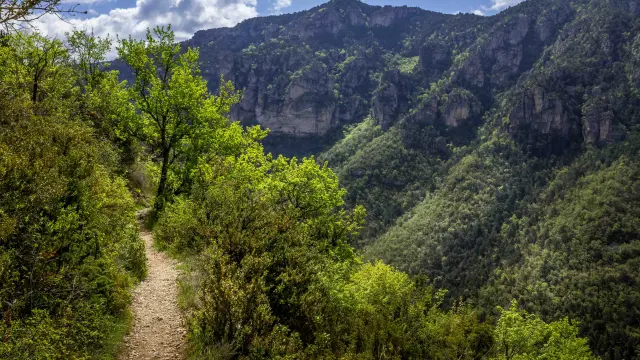 Rando corcniches du Méjean