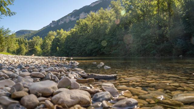 Camping Les Cerisiersalexandre Humbert 4