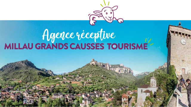 Cabecera del logotipo Agence Receptive 002