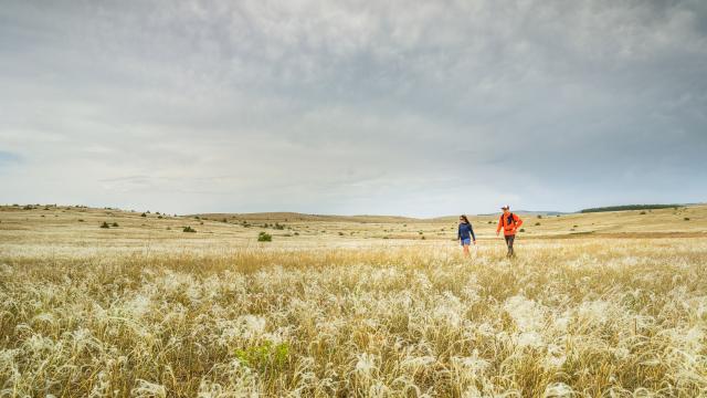 Randonnee Causse Mejean Copyright Remi Flament Pact Gdt Crtloccitanie 0037687 Md Min