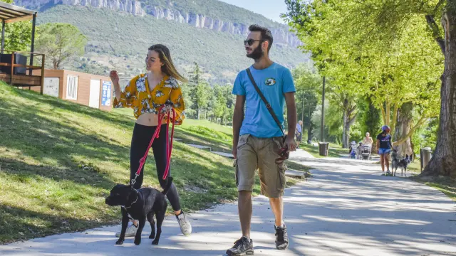 Emmene Ton Chien A Millau 4 Gdbot Millau Grands Causses A.humbert