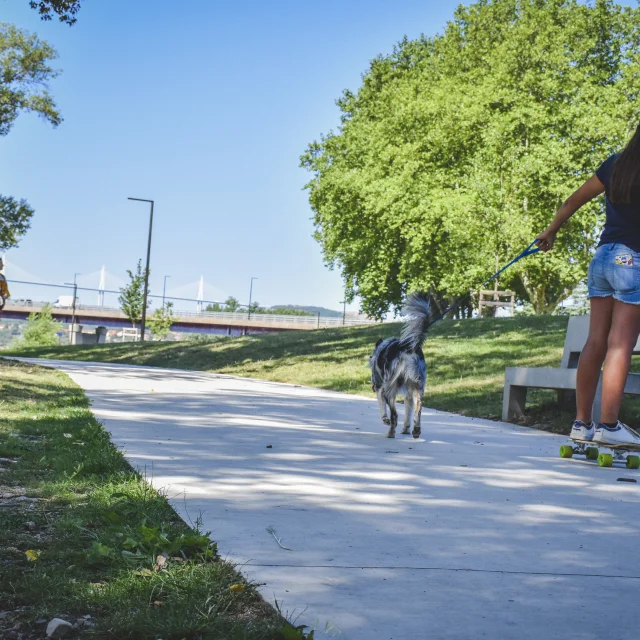 Emmene Ton Chien A Millau 7 Gdbot Millau Grands Causses A.humbert