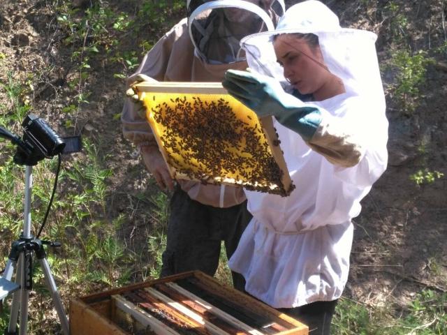 Ontmoetingsdag voor Bondia honingproducenten