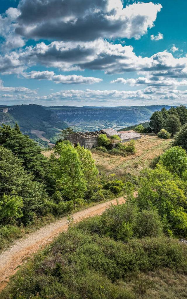 Roquefort Weekend Wandelen Froamge Jasse Du Combalou V Govignon