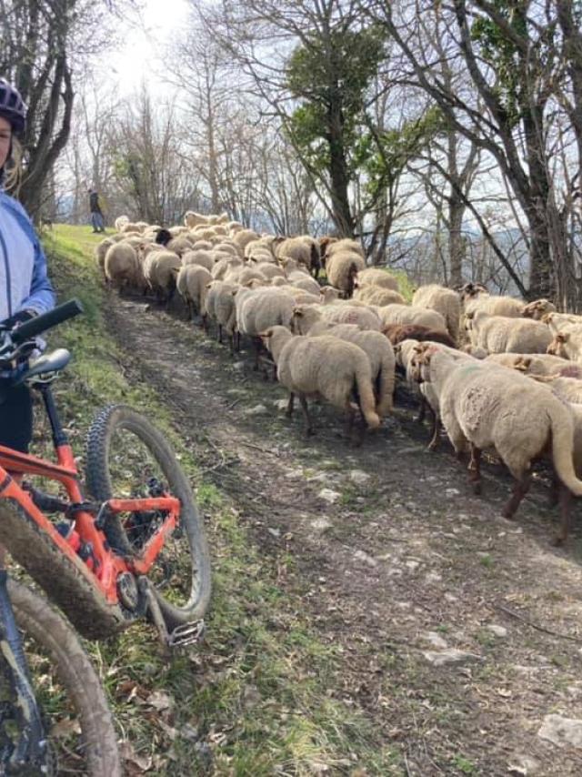 Una mirada al país del Roquefort 4