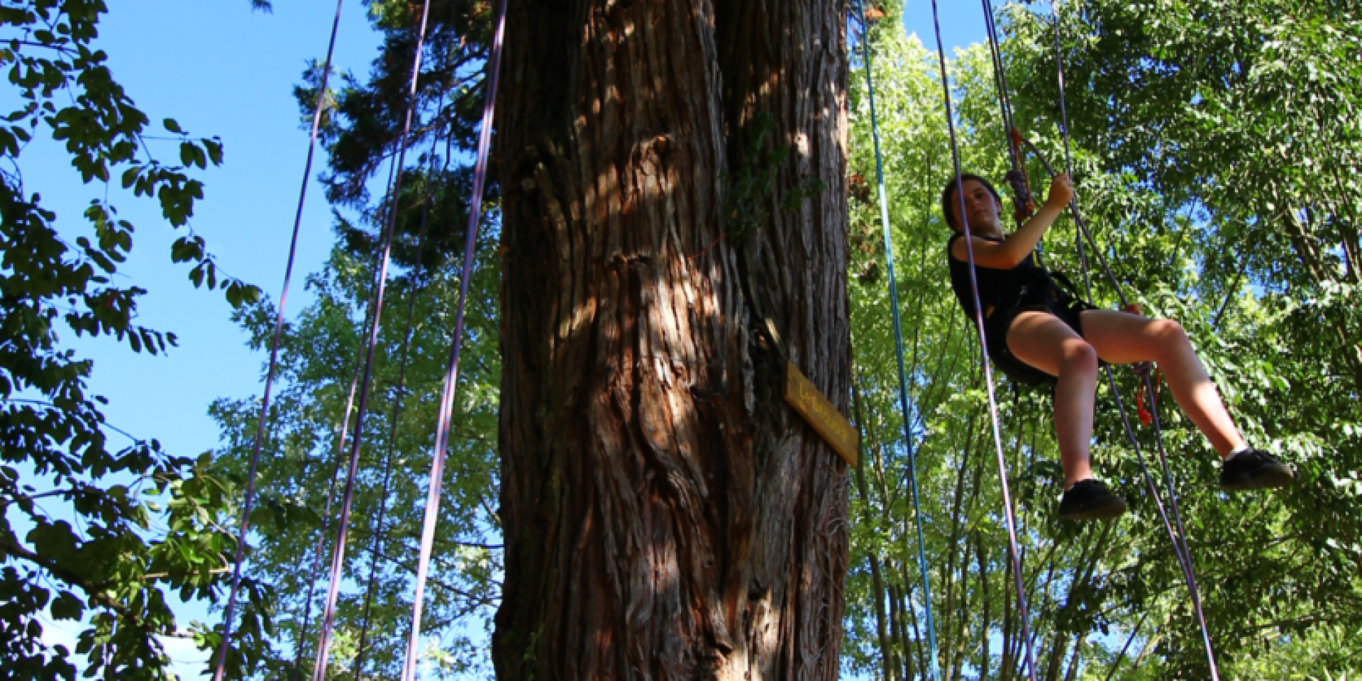 Croisee Des Arbres Croquefort Tourisme