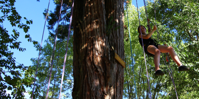 Croisee Des Arbres Croquefort Tourism