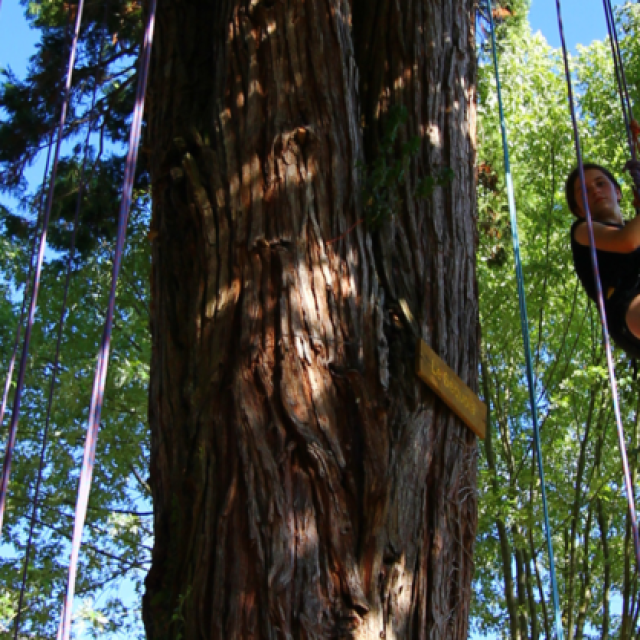 Croisee Des Arbres Croquefort Tourism