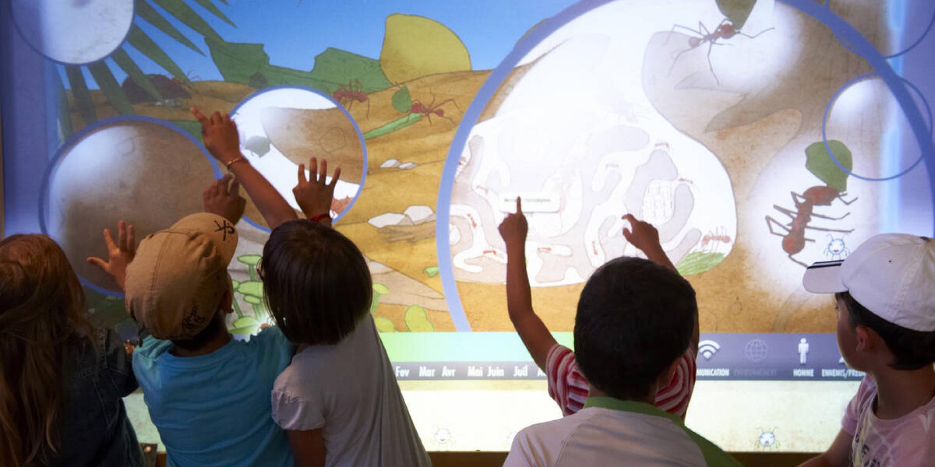Enfants Et Famille A Micropolis Mur Tactile Interactif Credit Photo Christian Bousquet Rodez