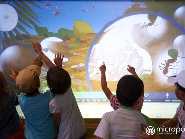 Enfants Et Famille A Micropolis Mur Tactile Interactif Credit Photo Christian Bousquet Rodez