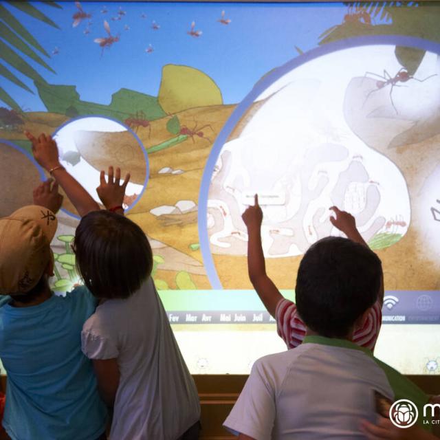 Enfants Et Famille A Micropolis Mur Tactile Interactif Credit Photo Christian Bousquet Rodez