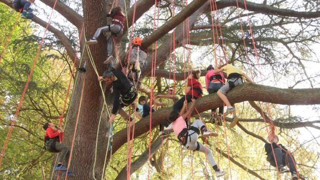 Grimpe Darbre A La Croisee Des Arbres Roquefort