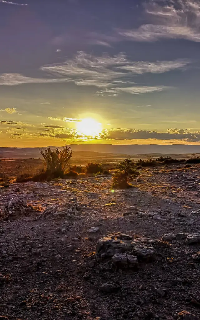 Rando Aligot 003 Claetitia Raisin Robert