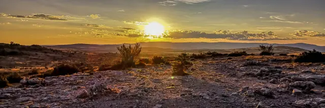 Rando Aligot 003 Claetitia Raisin Robert