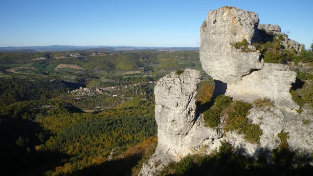 Le rocher du lion