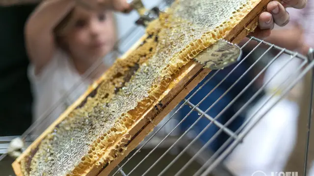 Arc En Miel @loeil Temoin