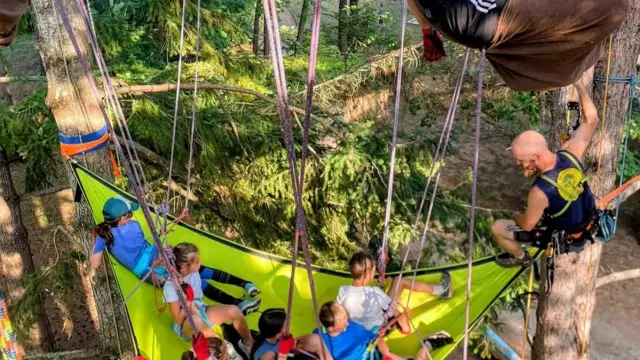 @a La Croisee Des Arbres