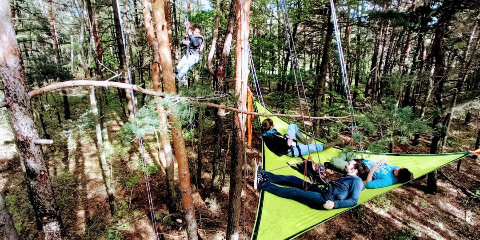 @a La Croisee Des Arbres1