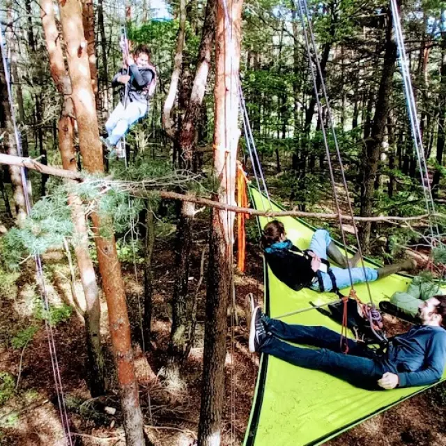 @a La Croisee Des Arbres1