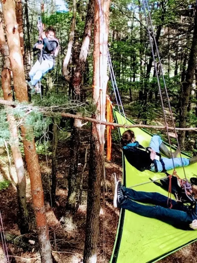 @a La Croisee Des Arbres1