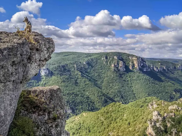 Paysages Des Grands Causses Weekend Cani Laetitia Raisin Robert 1 Min