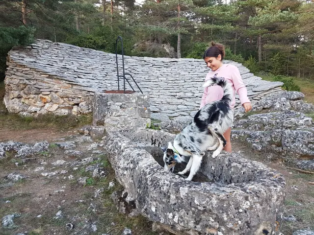 Mantrailing Laetitia Raisin Robert Min