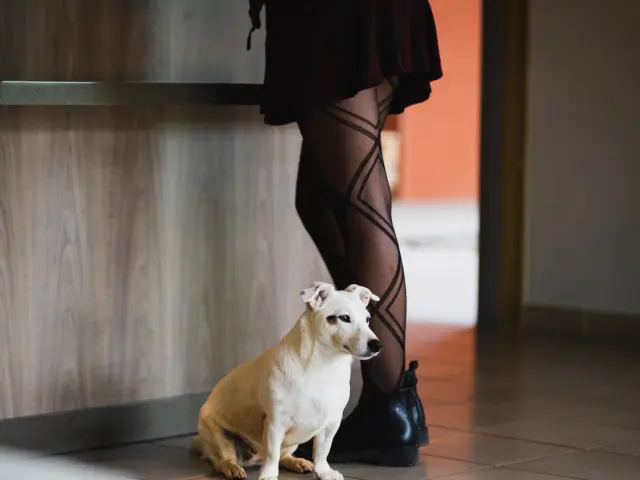 Weekend Cani Petit Chien