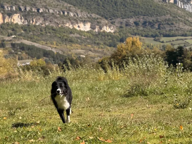 Fraser Sejour Cani Ar 2 Min