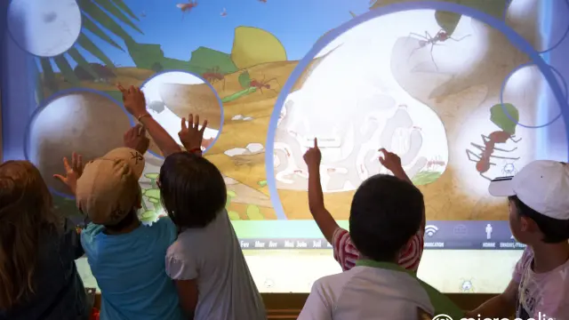 Micropolis2 Creditmicropolis