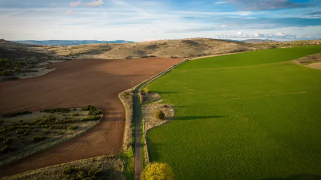 54413860475 7dae47ac78 O