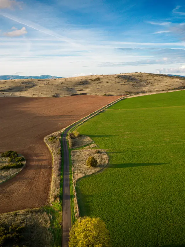 54413860475 7dae47ac78 O