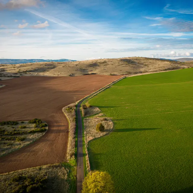 54413860475 7dae47ac78 O