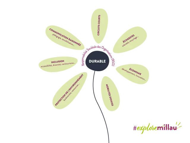 Marguerite Durable Sans Fond