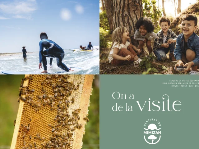 Viajes educativos Folleto de visitas escolares
