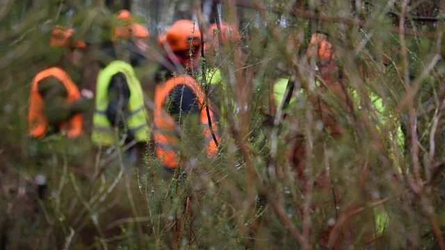 Etudiants En Foret Pontenx les Forges