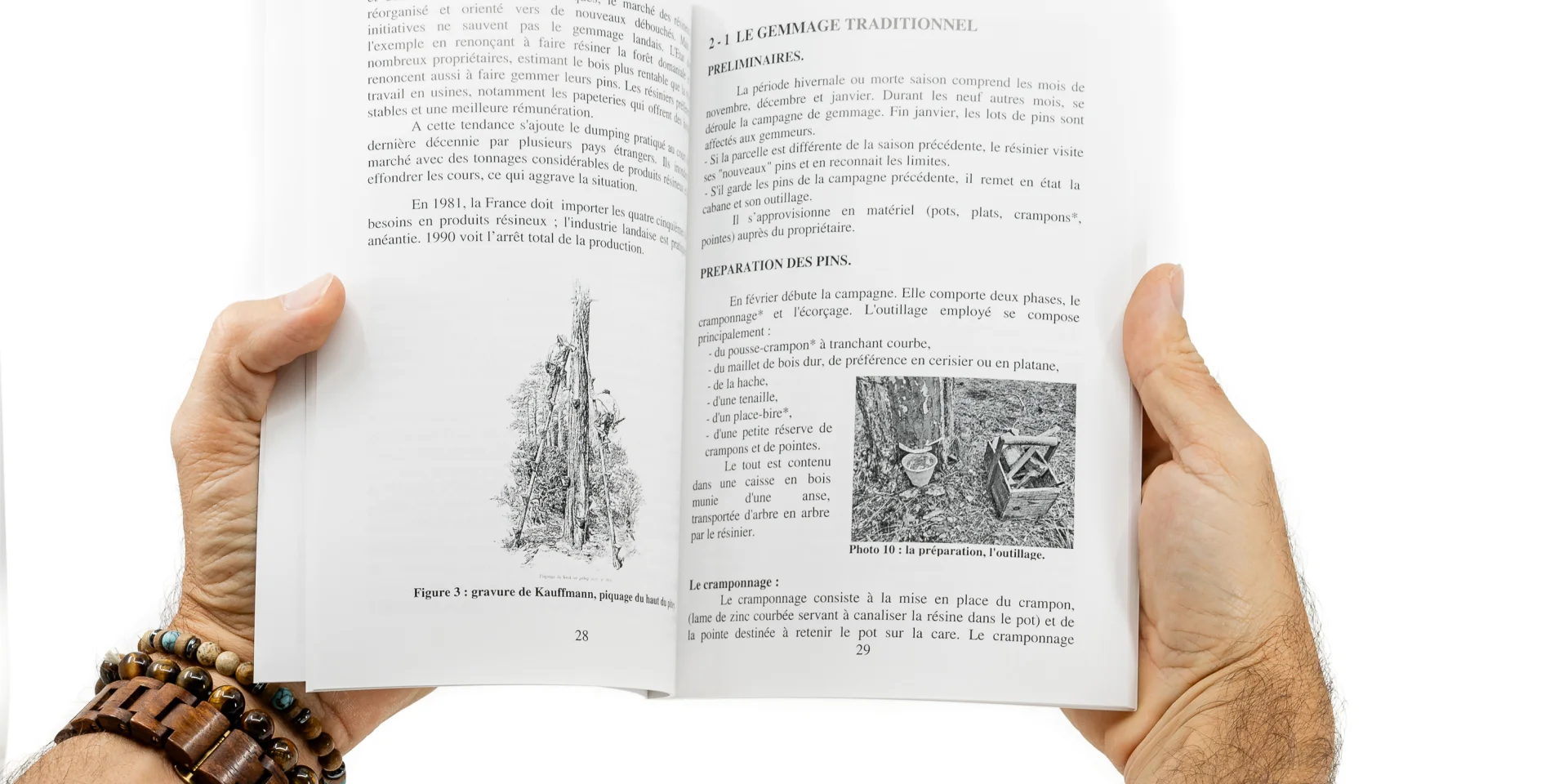 Libros y papelería