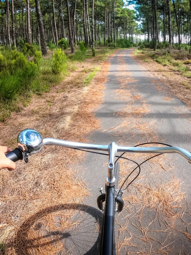 vélo sur la piste cyclable