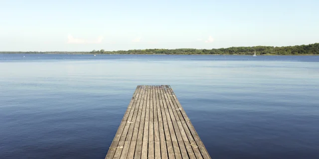 Ponton