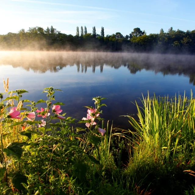 Promenade Fleurie - vue sur le lac le matin