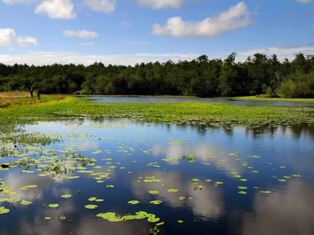Sendero alrededor del lago - vista desde St Paul en Born