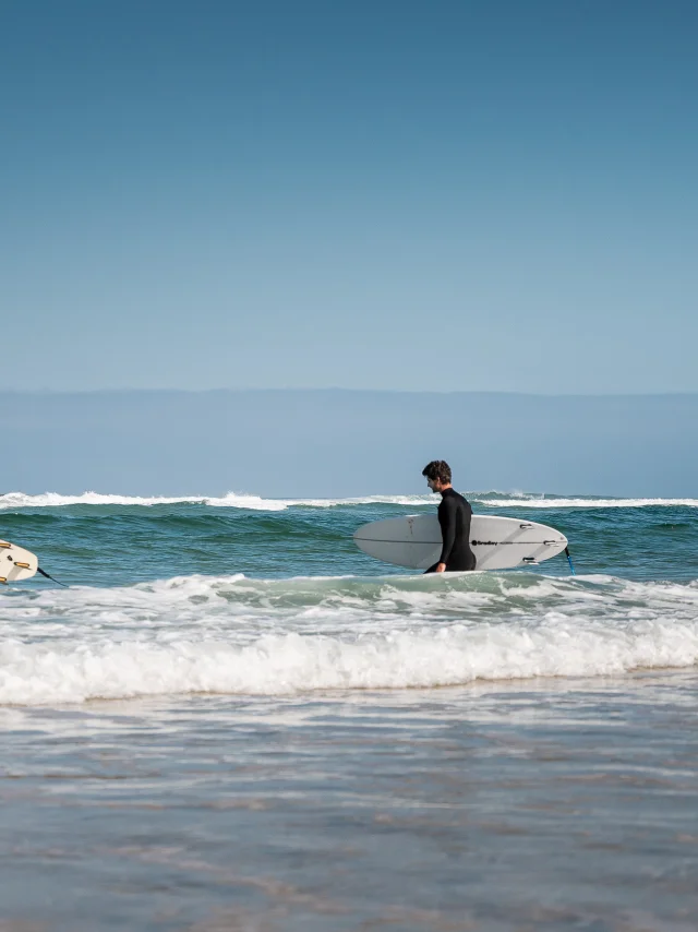Surf