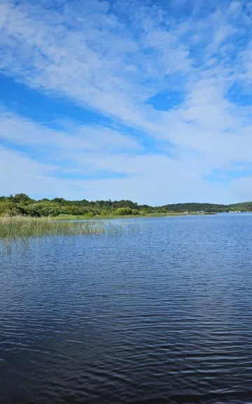 Carte Postale Ancienne – Plage Du Lac D'Aureilhan (40 Landes) – Animée – 1989