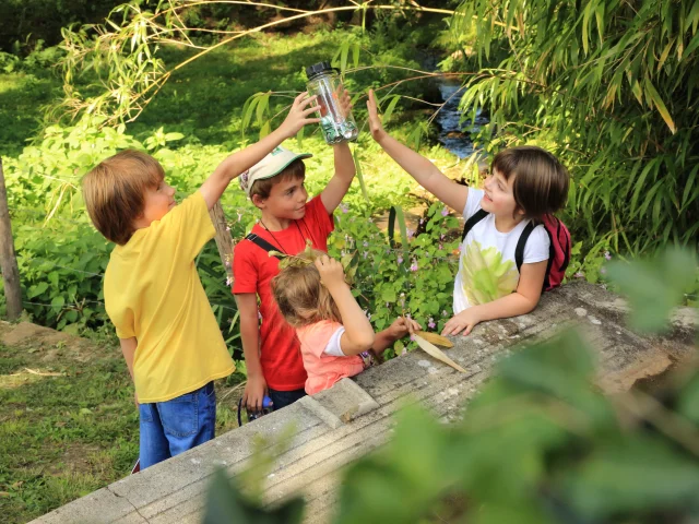 Terra aventura - géocaching à Aureilhan et Pontenx les Forges