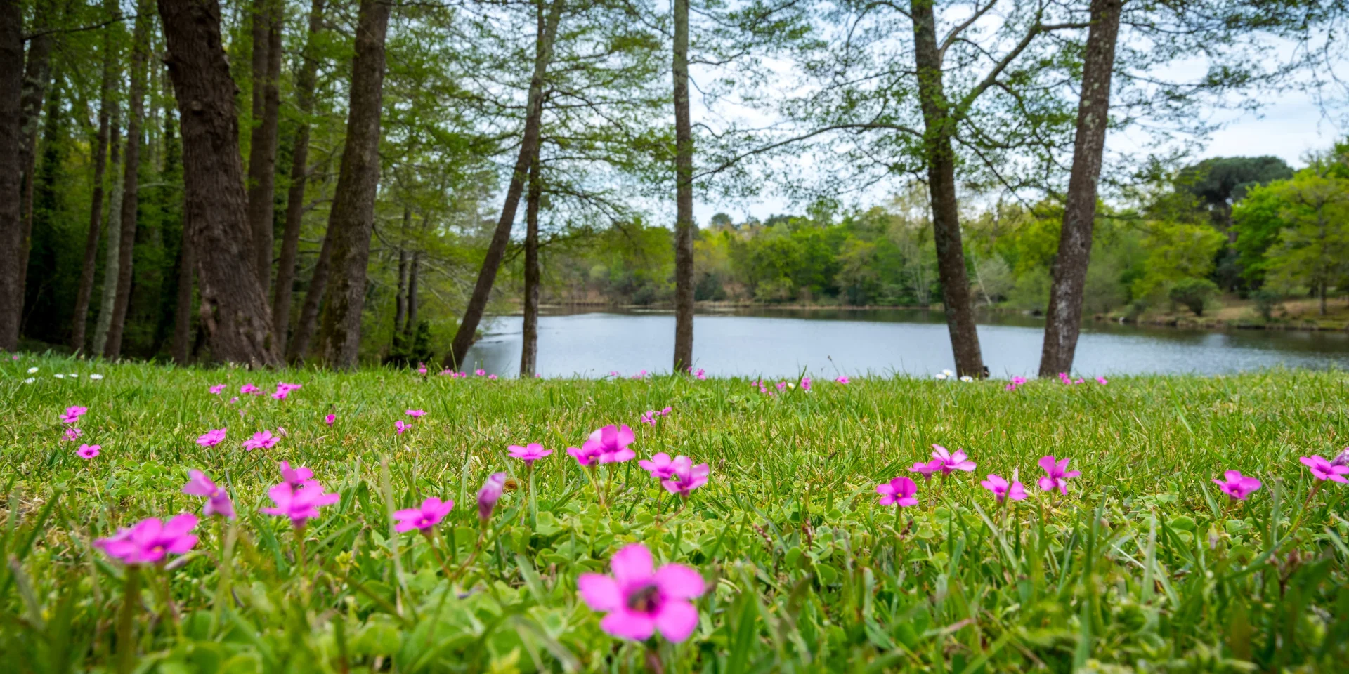 Pontenx Les Forges Lac nature