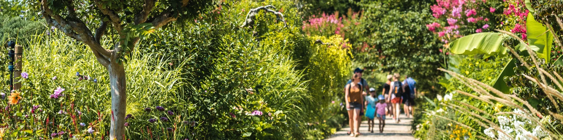 Promenade Fleurie - été - visiteurs