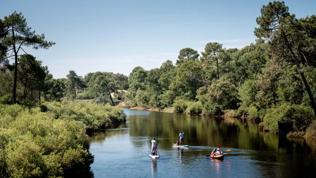 Remar y navegar en canoa por el Courant de Mimizan