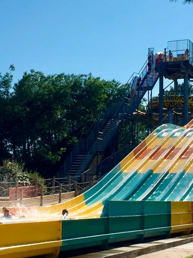 Surfracer