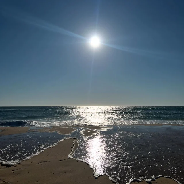 Instagram #mimizanplage